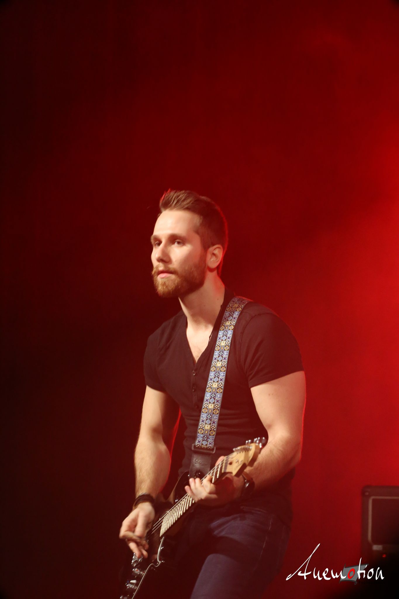 ElephantsFalling (24)